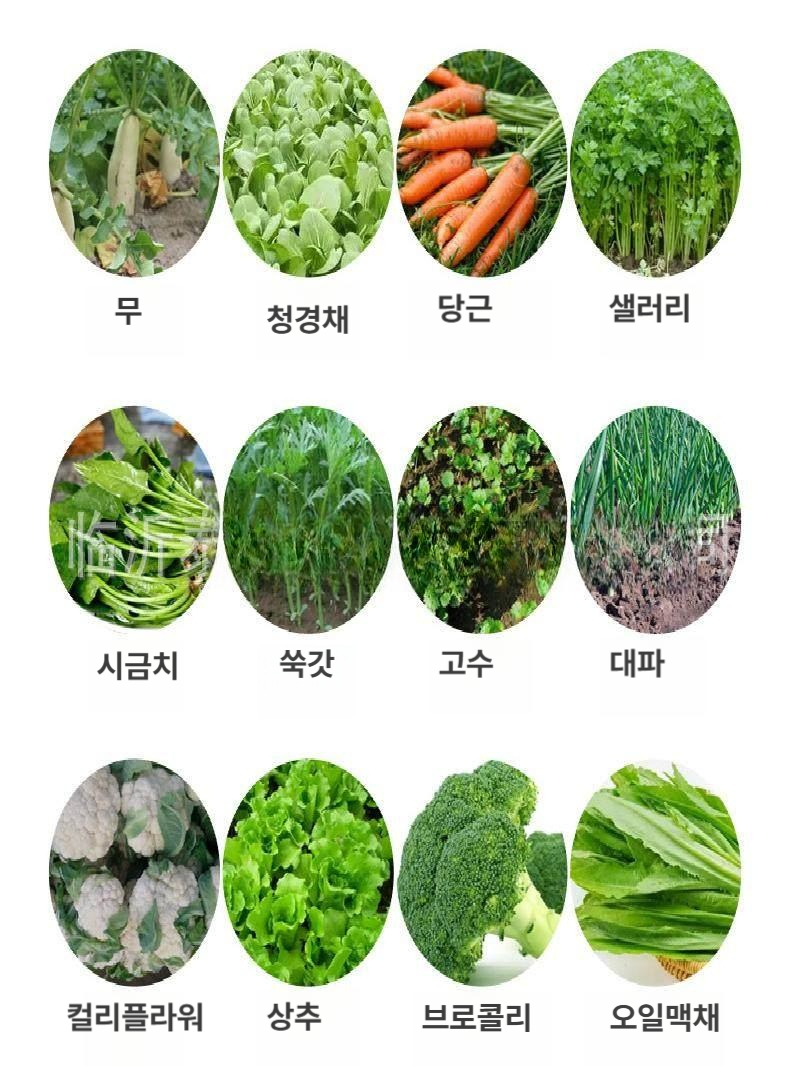 수동 파종기 채소 씨앗 농업용 배추 당근 시금치 무 약초 심는 농기구 텃밭 정밀 - 상세 이미지 5