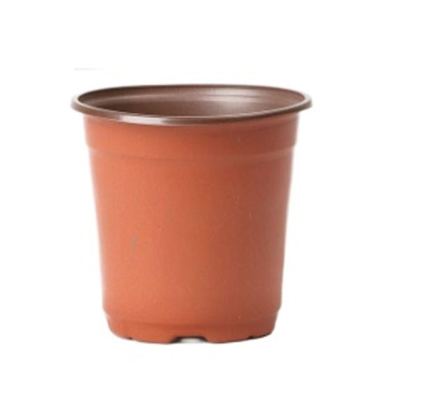 컵포트 모종화분 모종포트 모종컵 묘목 육묘 일회용 가드닝 투명 원형컵 플라스틱화분 - 상세 이미지 2