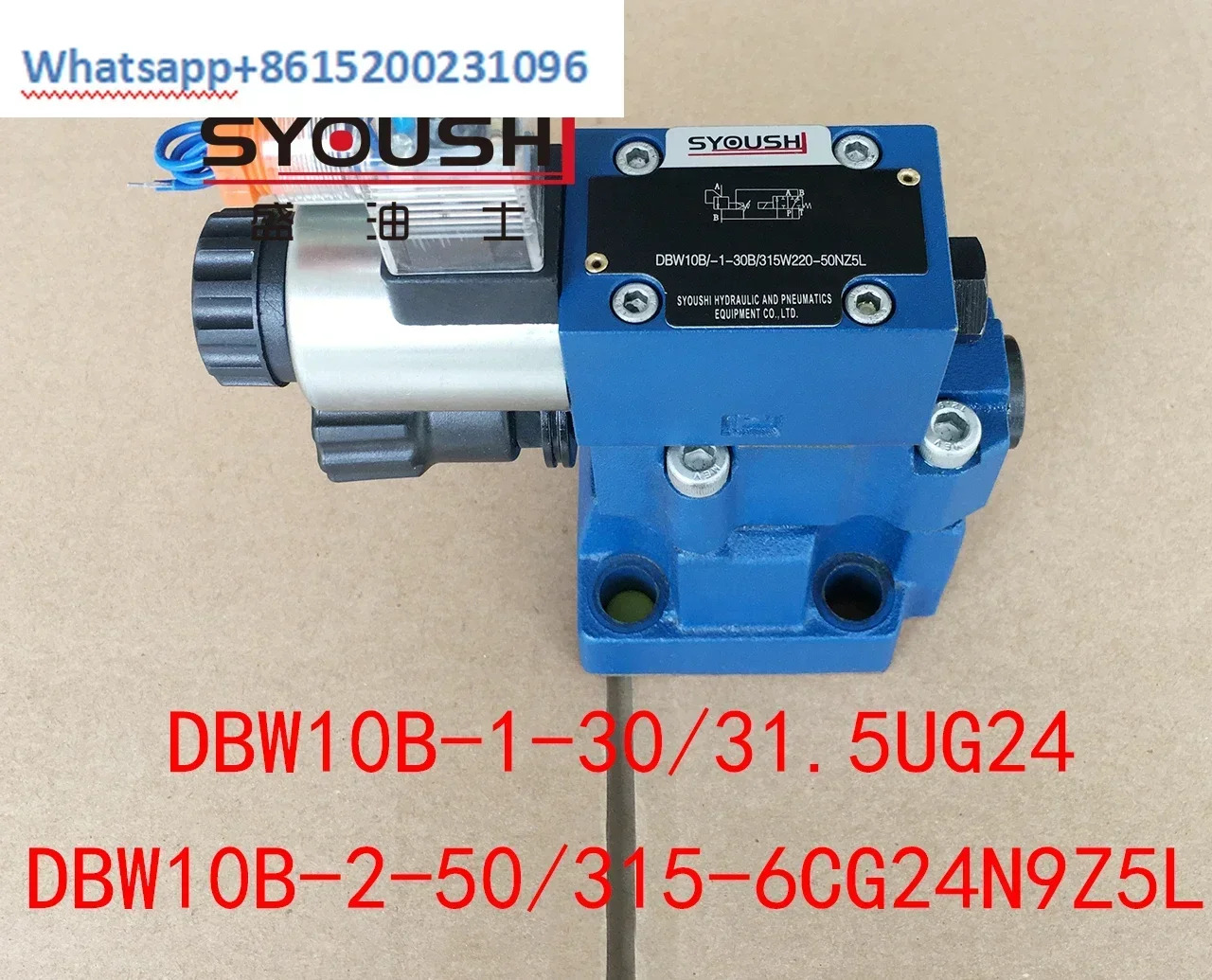 전자기 오버플로우 밸브 DBW10B-1-30 31.5UG24 DBW10B-2-50 315-6CG24N9Z5L