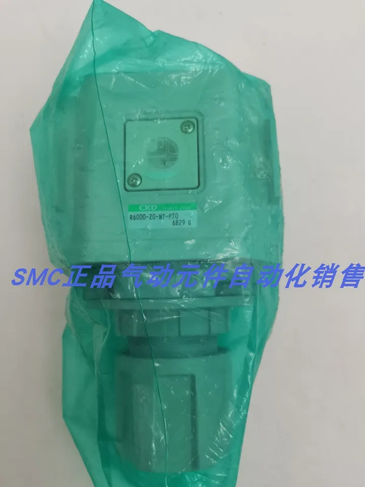 CKD 압력 조절 밸브 감압밸브 RN8000-25-NT 일본