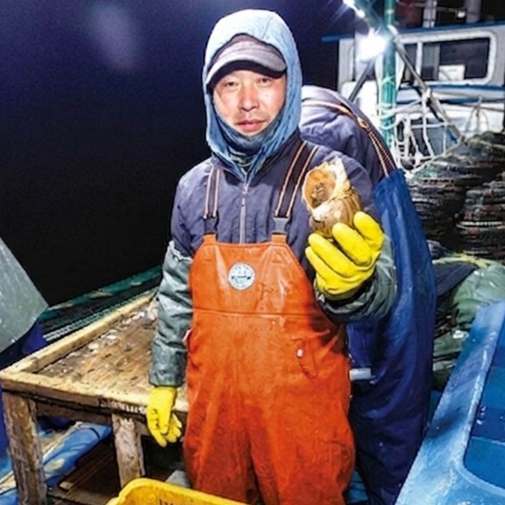 백골뱅이제철 생골뱅이 참골뱅이 통골뱅이 흑골뱅이 백고동 1kg - 상품 이미지