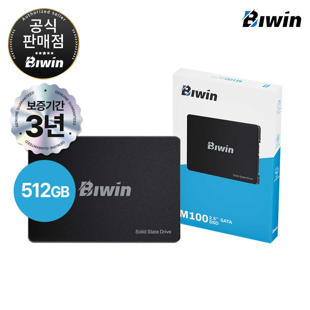 BIWIN M100 (512GB)