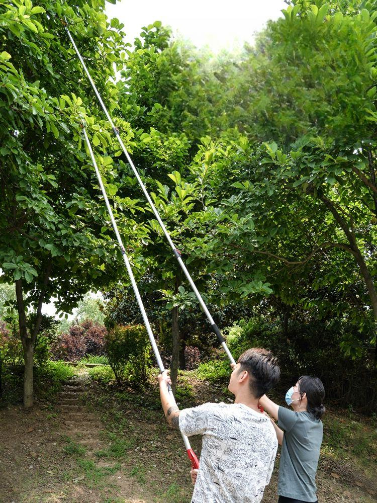 양손 긴전지가위 원예용 고지 원예가위 과수원 전정가위 헤지가위 조경 가지치기가위 - 상세 이미지 2