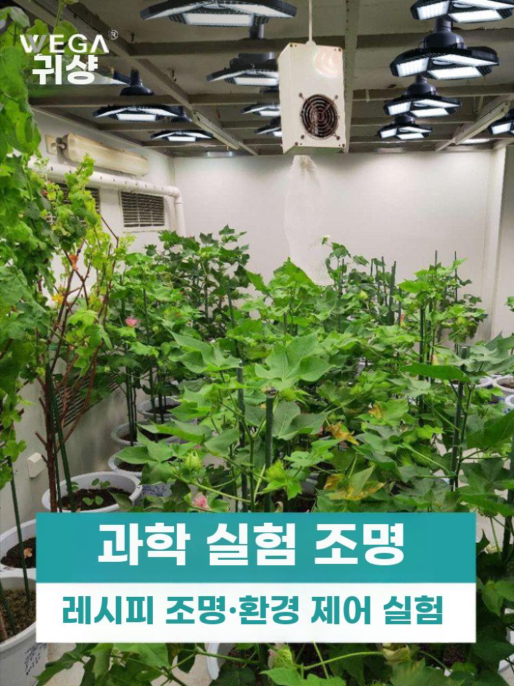 식물성장등 식물 광합성 조명 풀스펙트럼 재배 램프 다육이 60W 범용 - 상세 이미지 4