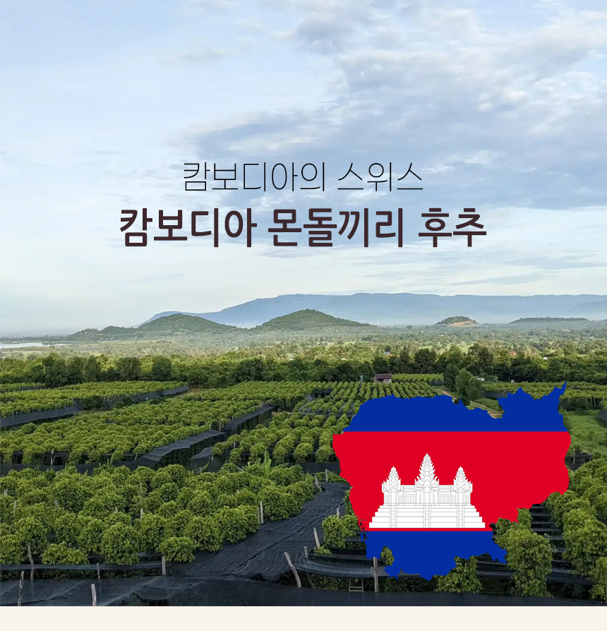 라 플랜테이션 캄보디아 몬돌끼리 백후추 50g, 2개 - 상세 이미지 2
