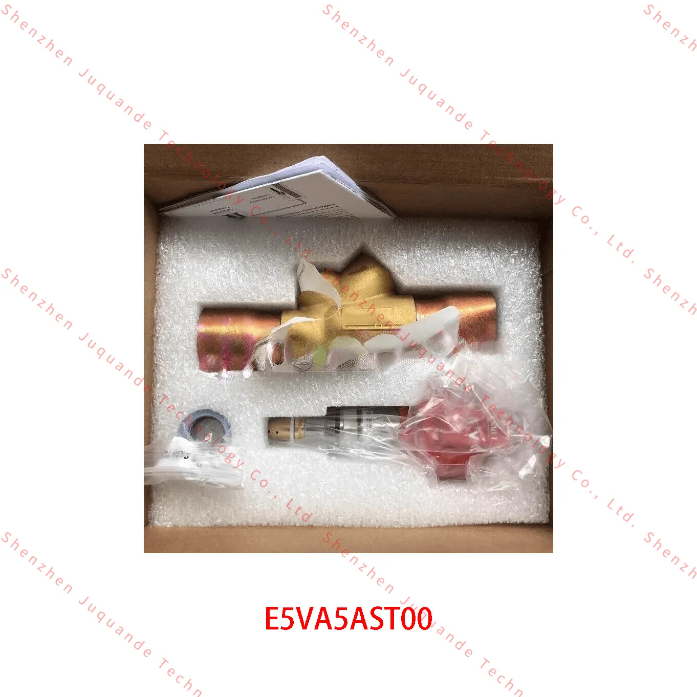 E5VA5AST00 PGD1000I00 CPY 0000200 PGD 0000100 EVD 0000401 E2V35BSM01 와 원본