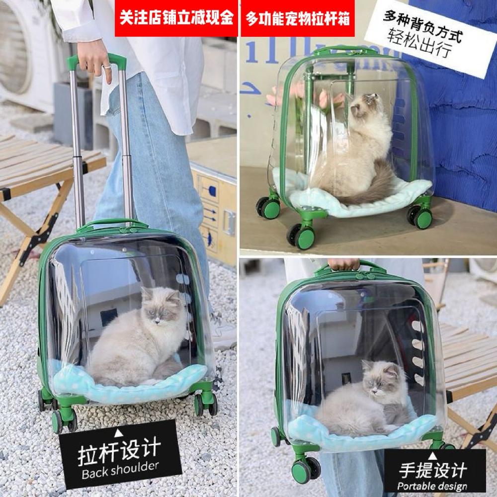 반려견 투명 반려묘 이동가방 통기성 패브릭 기내용 여행용 여행가방 소프트 경량 소형 여행 - 상세 이미지 4