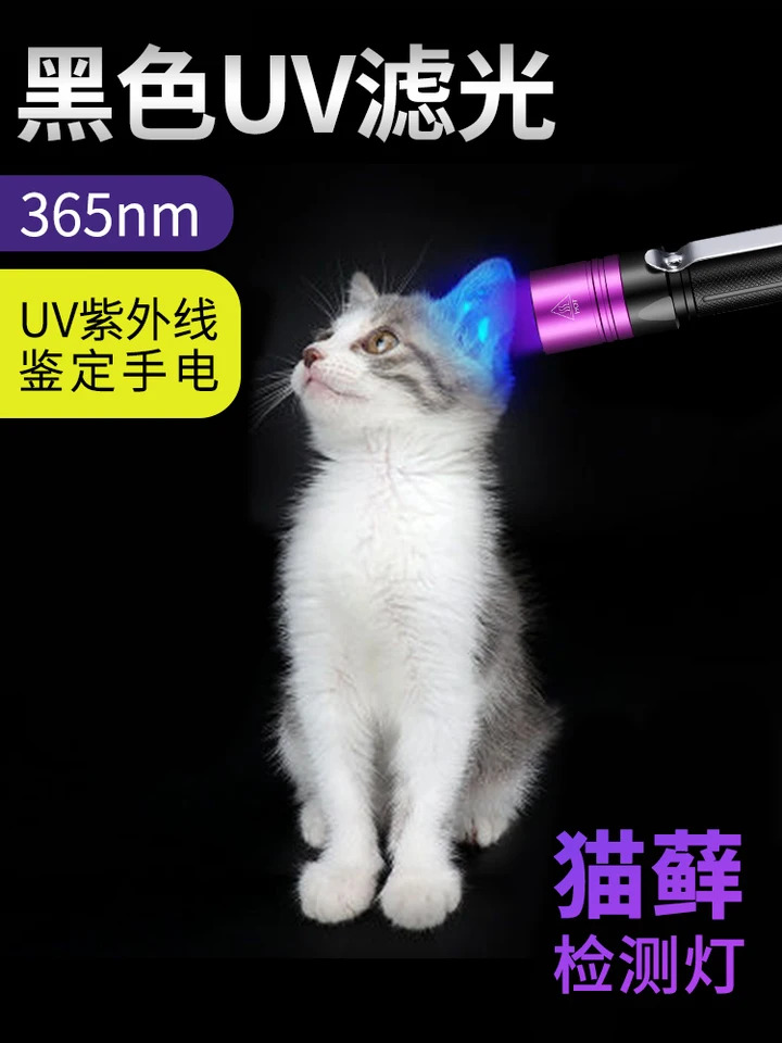 특수 365 UV 손전등 식별 옥 골동품 지폐 확보라색 빛 감지 펜 목재 램프