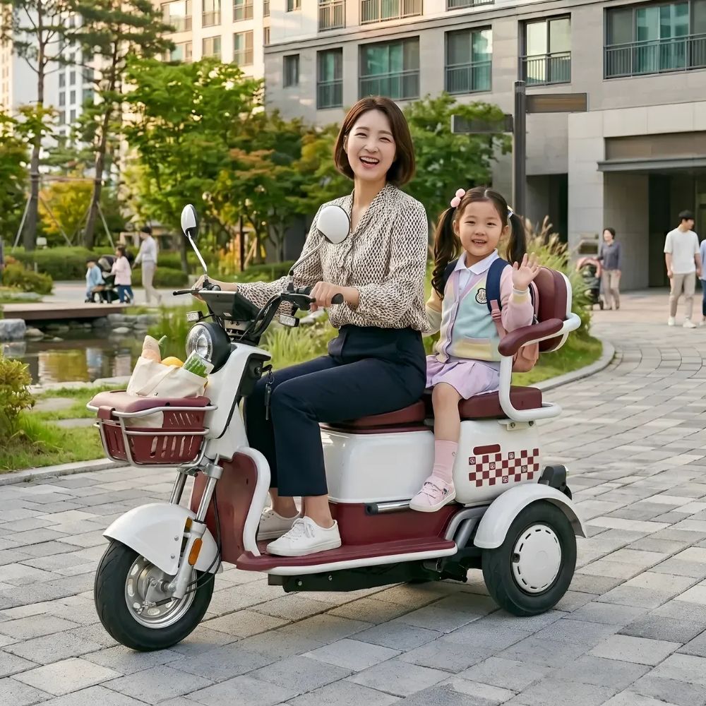 볼트레인 노인 전동차 삼륜 전기 스쿠터 800W 48V 20A 약35km 레드