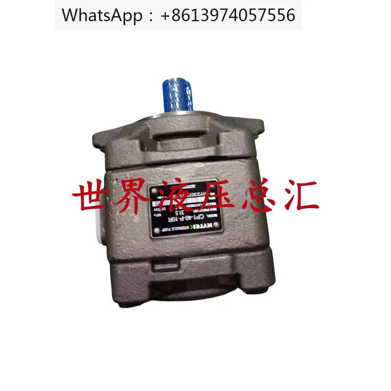 유압 기어 펌프 50 CP1 0/2-40 32 125 63 20 16 13 80/100-P-10R