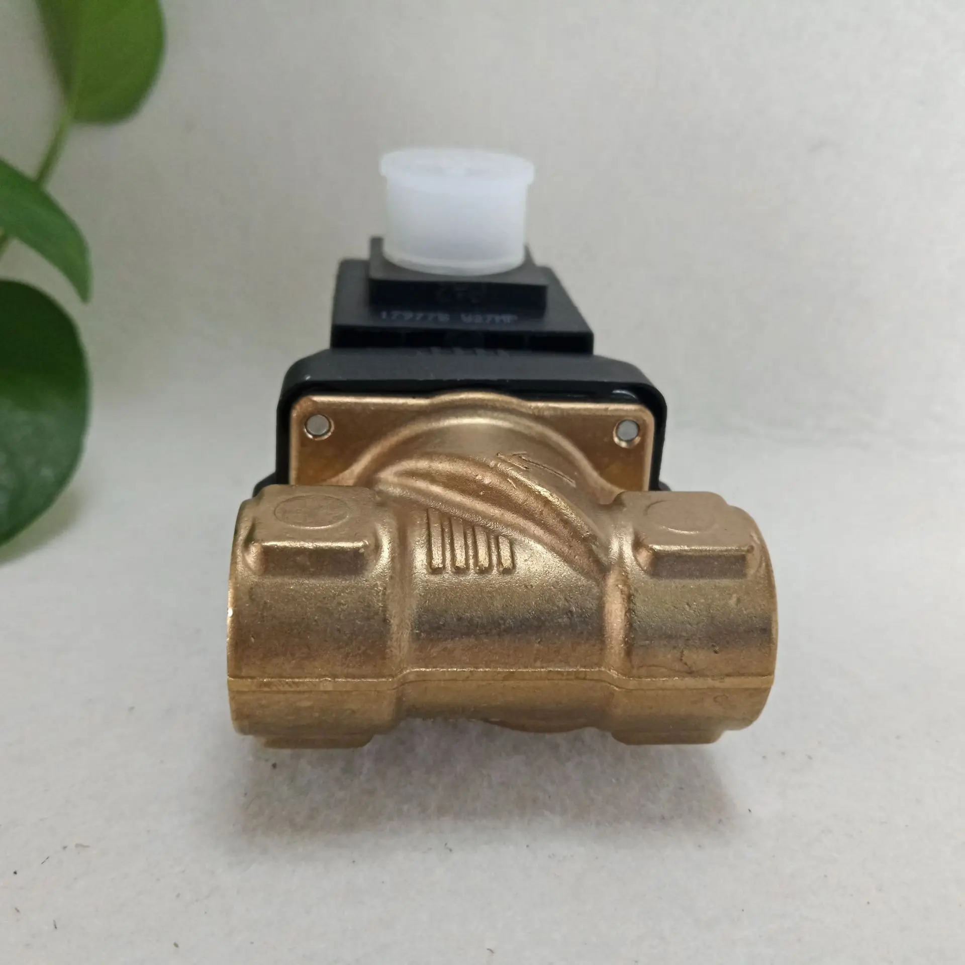 버크하르트 6213EV ANBR MS G1/4 24V DC 00221674 00221602