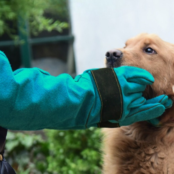 고양이 보호 장갑 긁힘 강아지 방지 물림 훈련 안전 - 상세 이미지 2