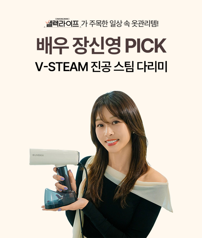 라이브박스 진공 스팀 다리미 흡착 스팀 다리미 핸디형 판매처 상세 정보 이미지 2