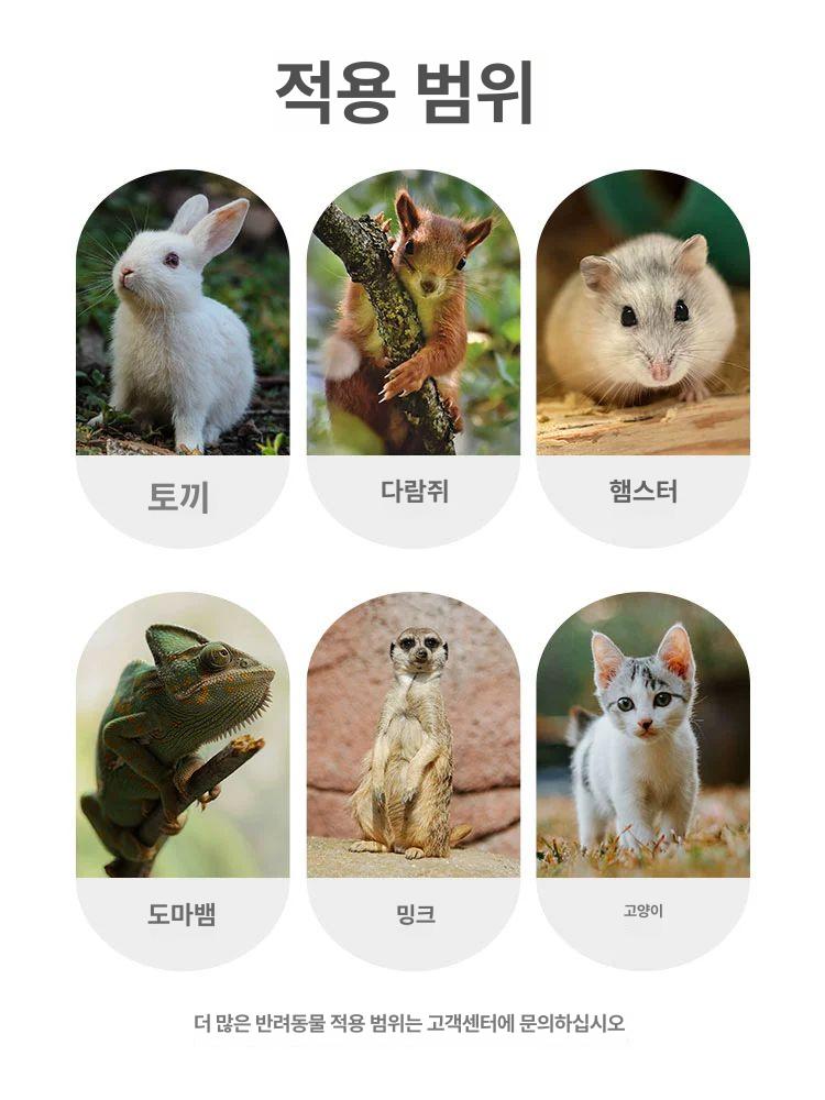 소형동물 사육장 피그미다람쥐 다람쥐집 소형애완동물 하늘다람쥐 실내 토끼 소동물 - 상세 이미지 5