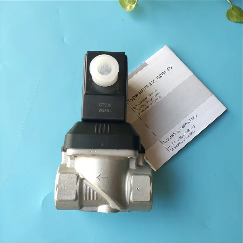 버크 6213EV A 20 FKM VA PN0-10bar 00253747 00250319