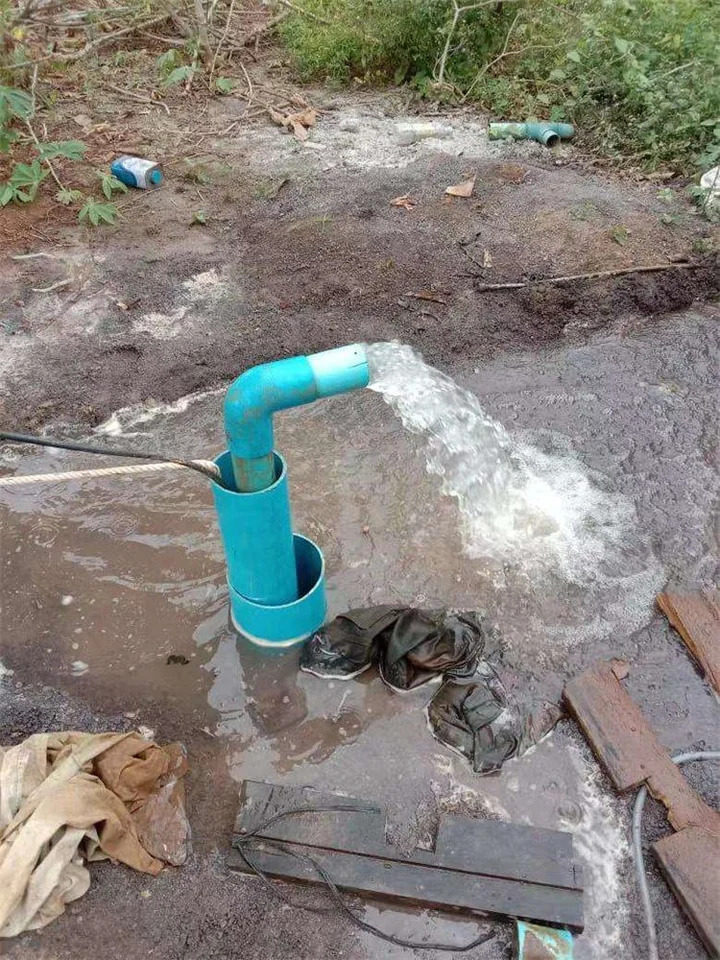 농업관개 고압 스테인리스 스틸 임펠러 폼페이 태양광 DC 잠수정 워터 펌프 1500W 2