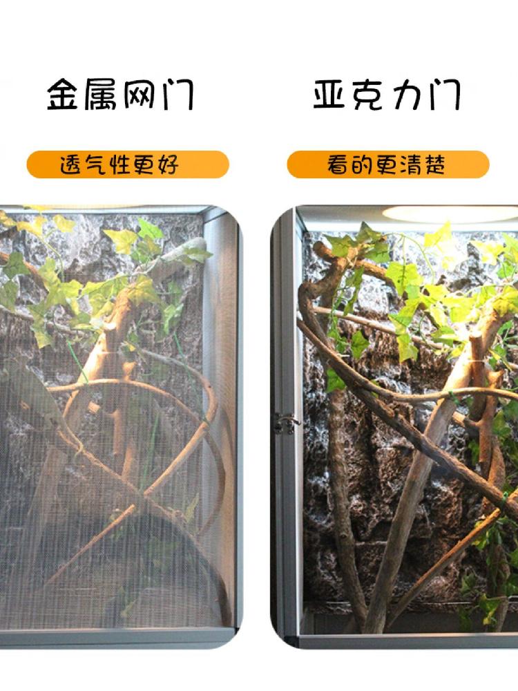 토케이게코 이끼 사육장 테라리움 이끼테라리움 비단이끼 생이끼 테라리움만들기 이끼키우기 재료 - 상세 이미지 3