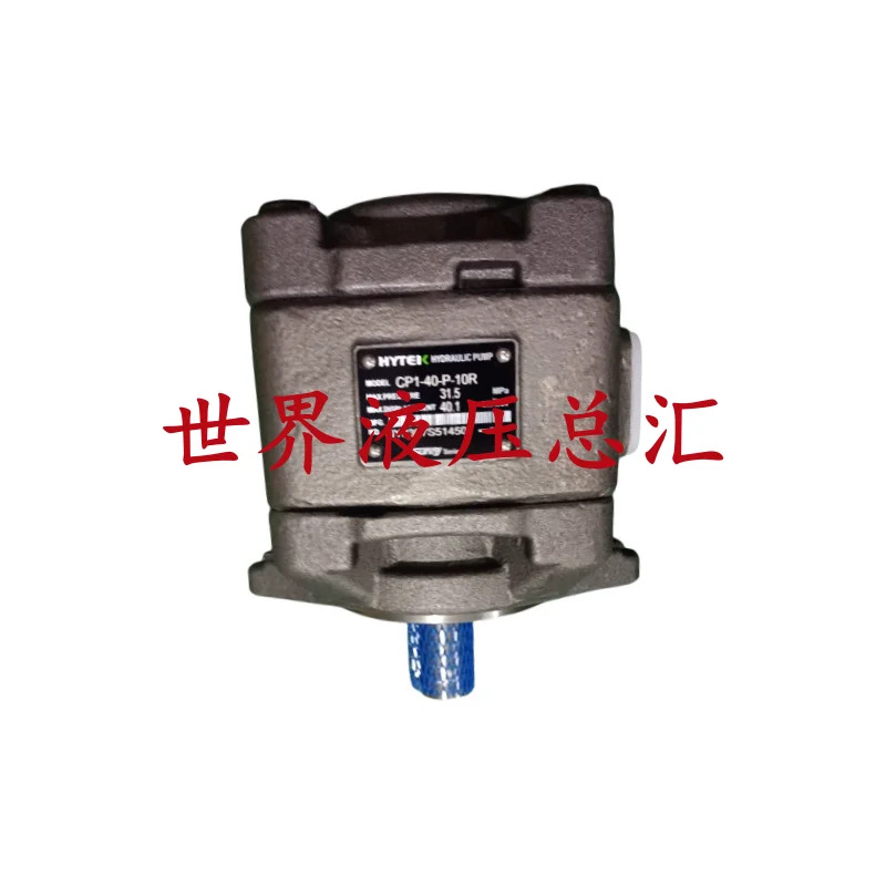 유압 기어 펌프 50 CP1 0/2-40 32 125 63 20 16 13 80/100-P-10R