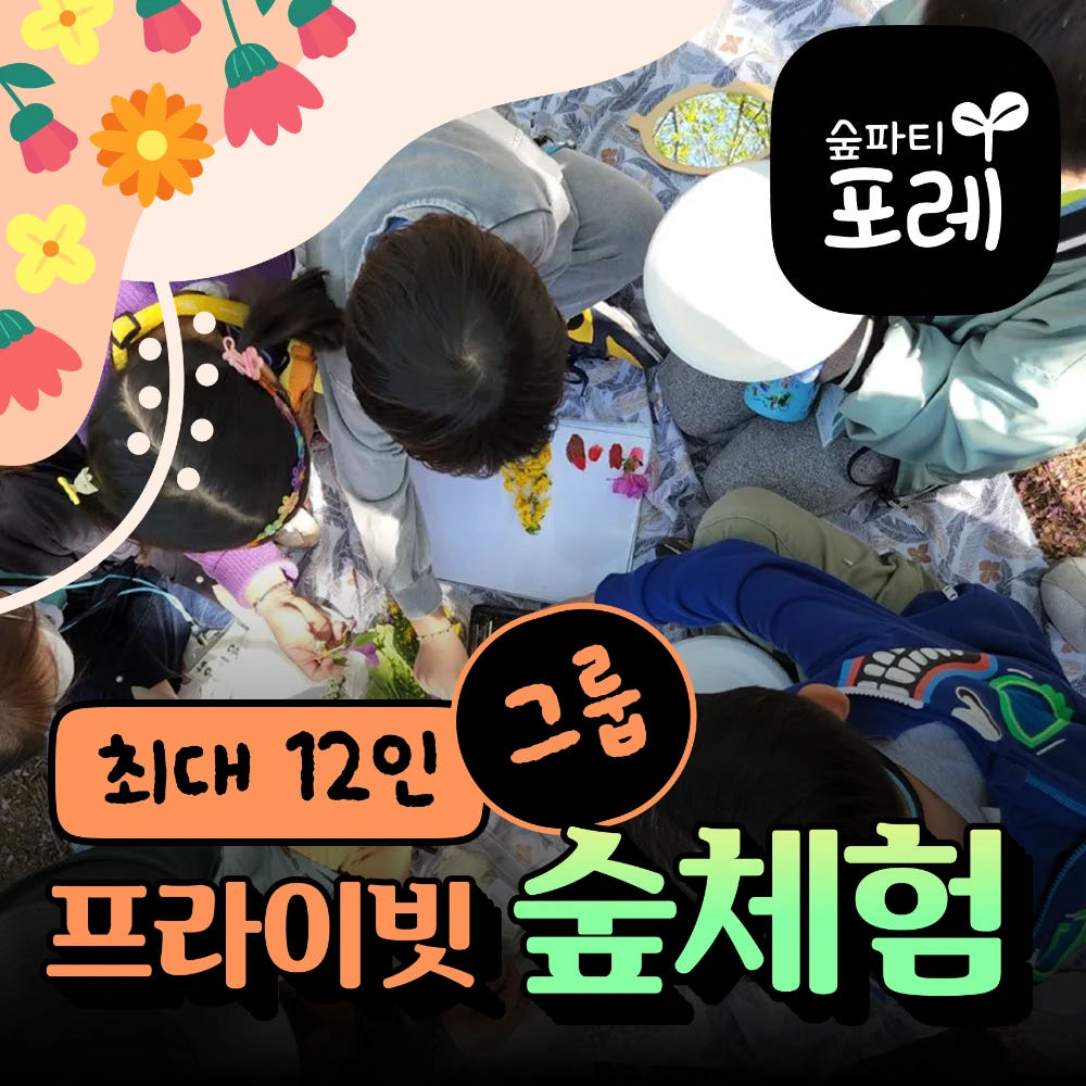 숲파티포레 프라이빗 숲체험 가격 추이 아이고고 숲파티포레 프라이빗 숲체험 - 최저가 330,000원