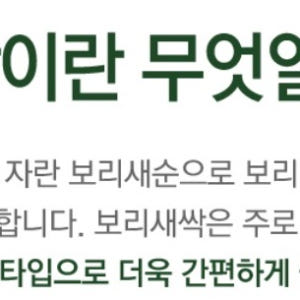 유기농 보리새싹 분말 30스틱 새싹보리 맛있게 먹은 솔직 후기 - 상품 이미지 3