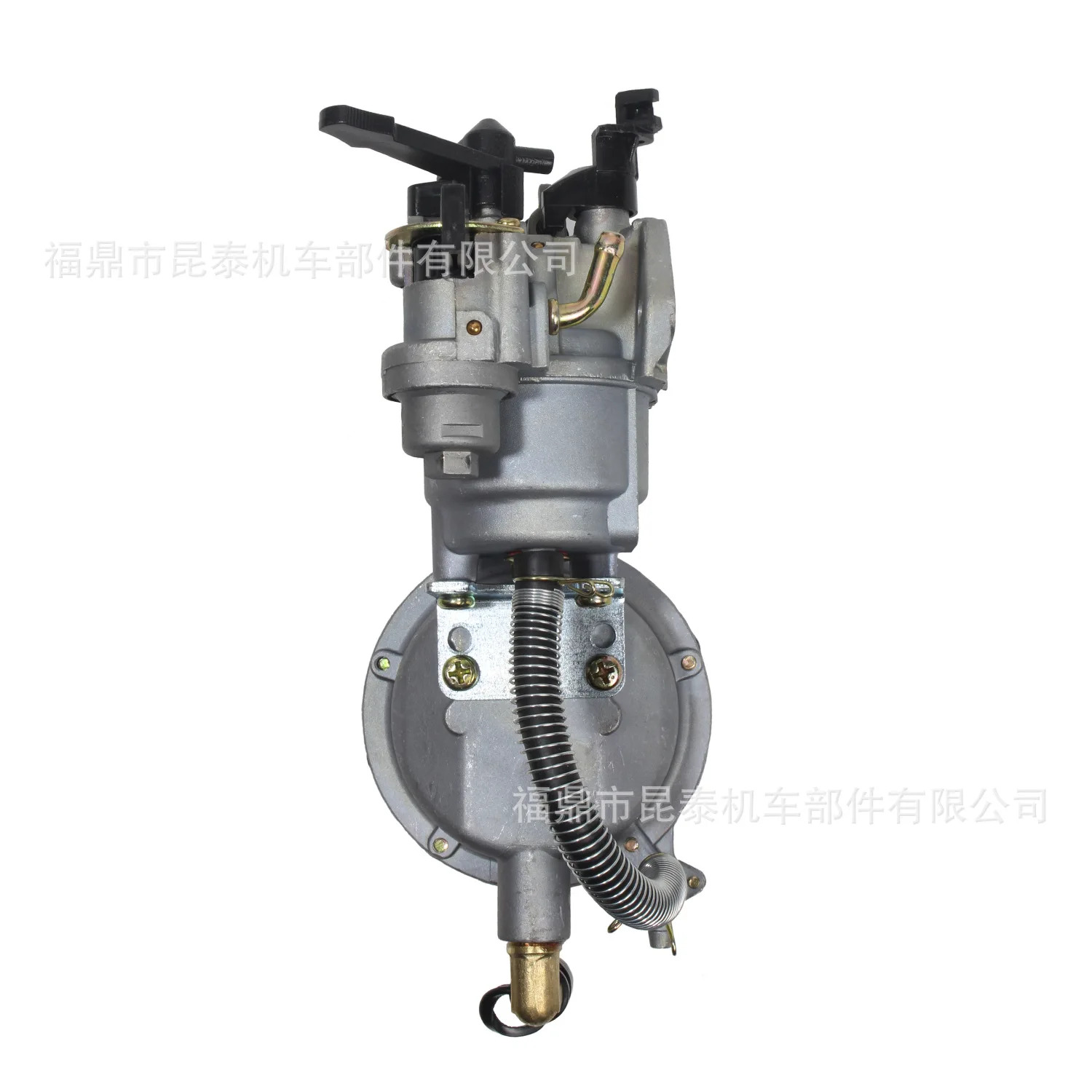 LPG NG 2kw 3kw GX160 168F 170F컵 이168 전원 기화기