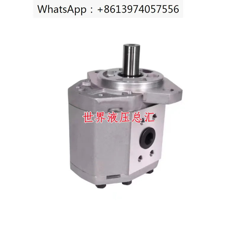 Hefei Changyuan 기어 펌프 CBQ-F520 F525 F532 F540 F550 F563-AFPL-CFH
