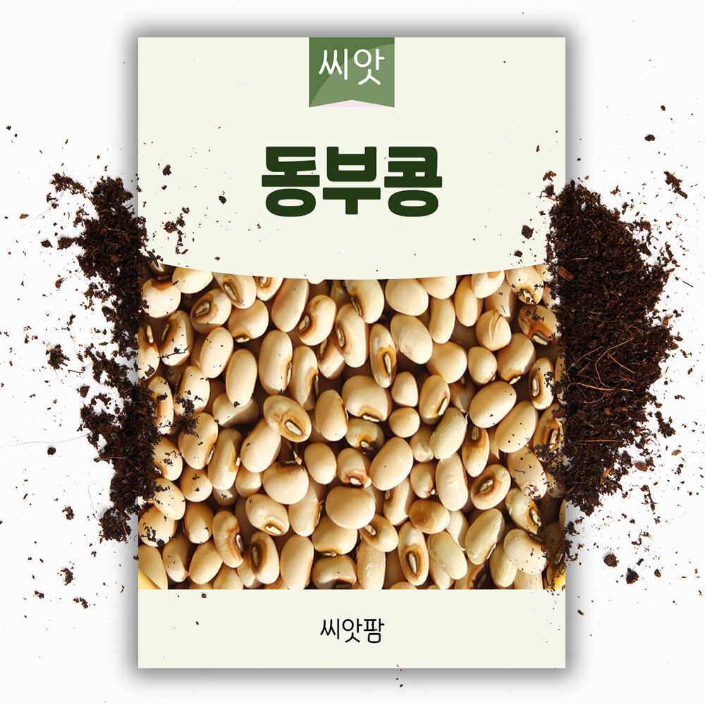 동부콩 씨앗 30g 파종용 콩 씨앗 종자 - 상품 이미지