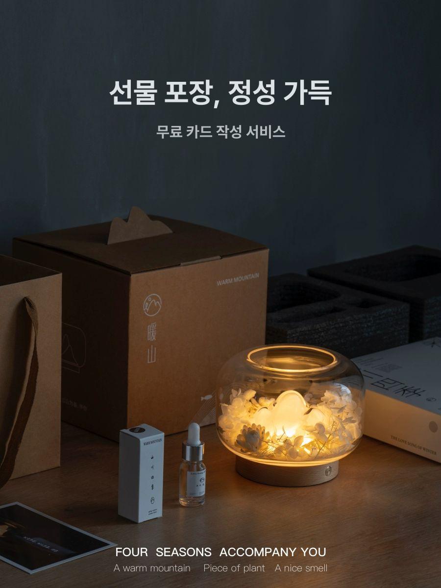 사육 열대어수초 구피 은신처 뾰족한 어항꾸미기 식물 수초꾸미기 활력제 수초용 인공 - 상세 이미지 4