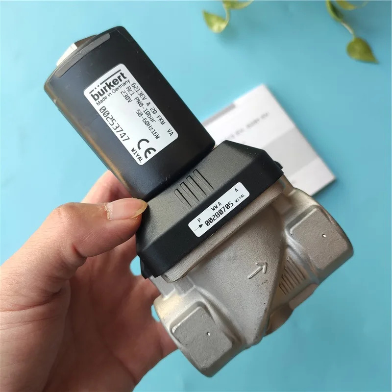버크 6213EV A 20 FKM VA PN0-10bar 00253747 00250319
