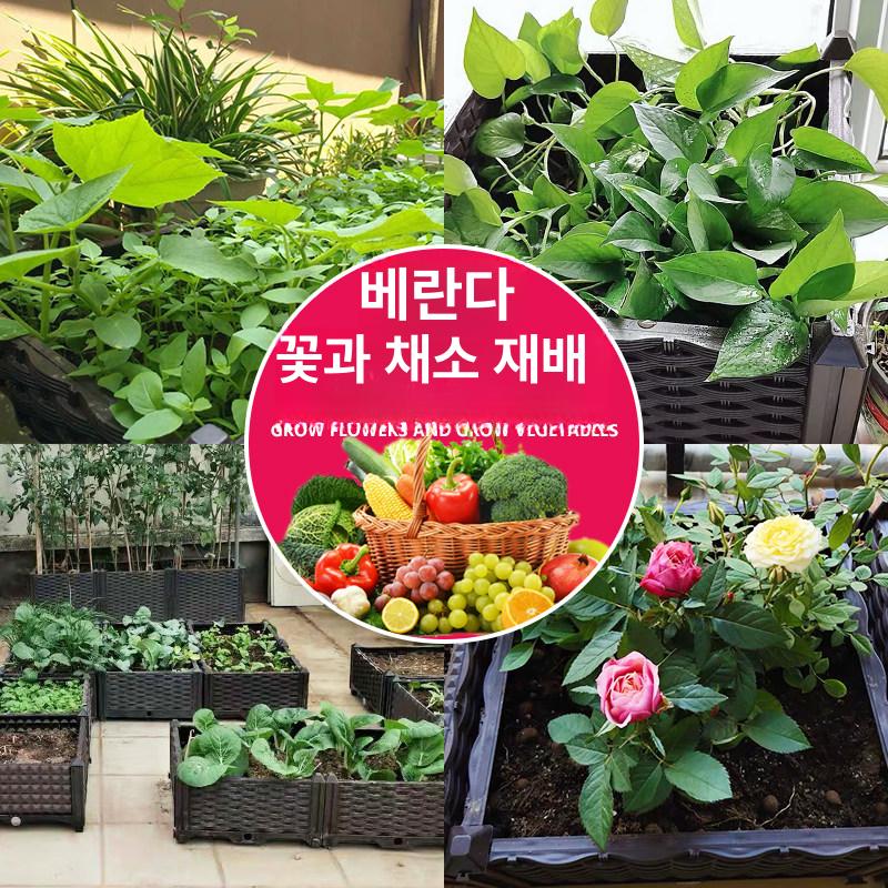 농사용 네트 채소재배 넝쿨 정원 그물 텃밭 오이망 식물 지지대 비닐하우스 야외 - 상세 이미지 4