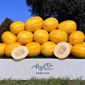 [농할쿠폰] 성주 참외 4.5kg 맛있게 먹은 솔직 후기 - 상품 이미지 1