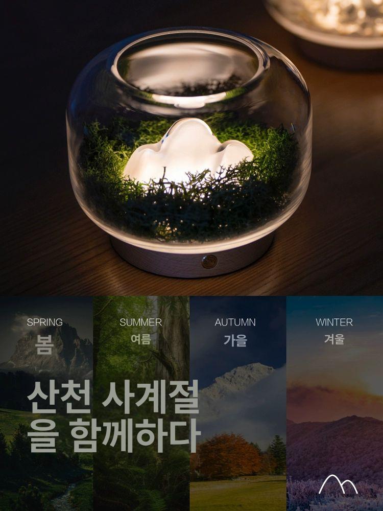 사육 열대어수초 구피 은신처 뾰족한 어항꾸미기 식물 수초꾸미기 활력제 수초용 인공 - 상세 이미지 3