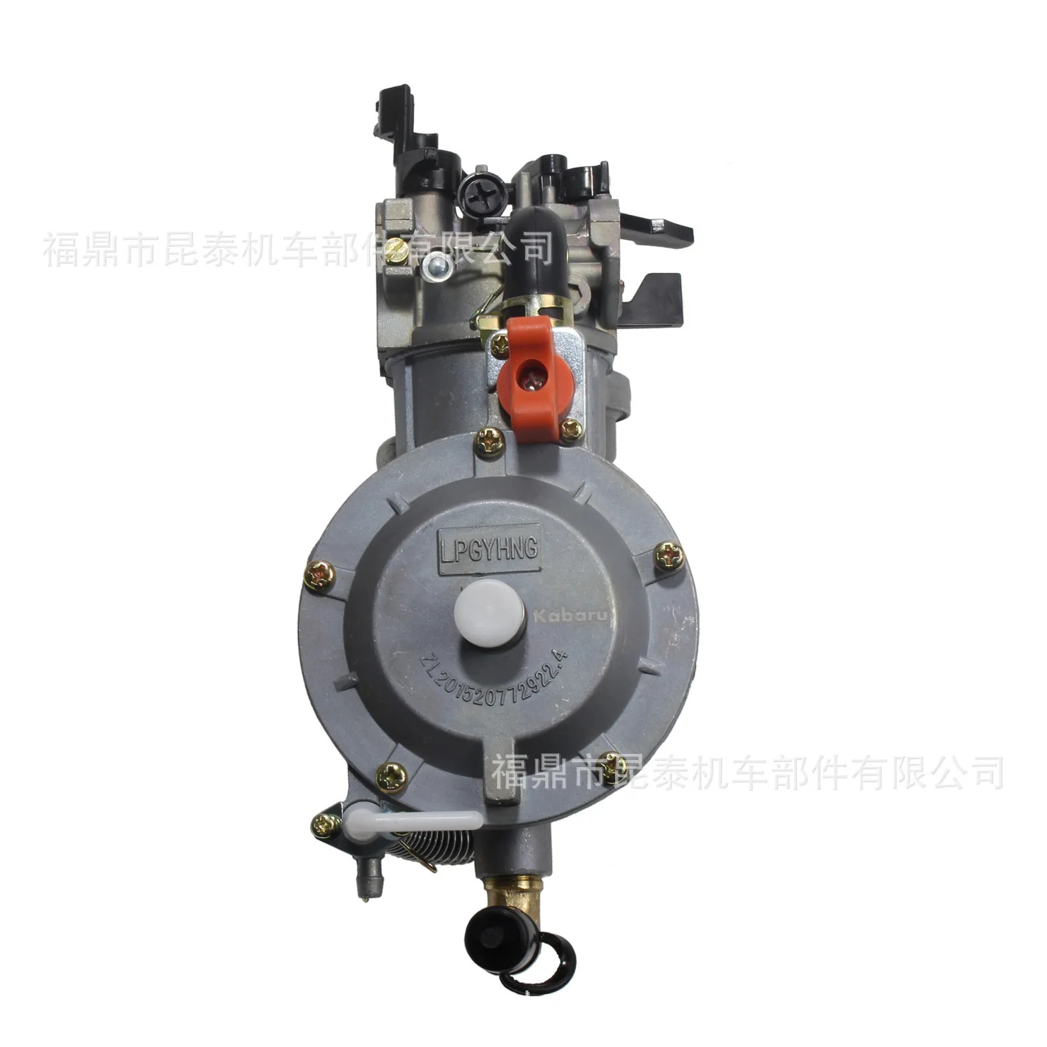 LPG NG 2kw 3kw GX160 168F 170F컵 이168 전원 기화기