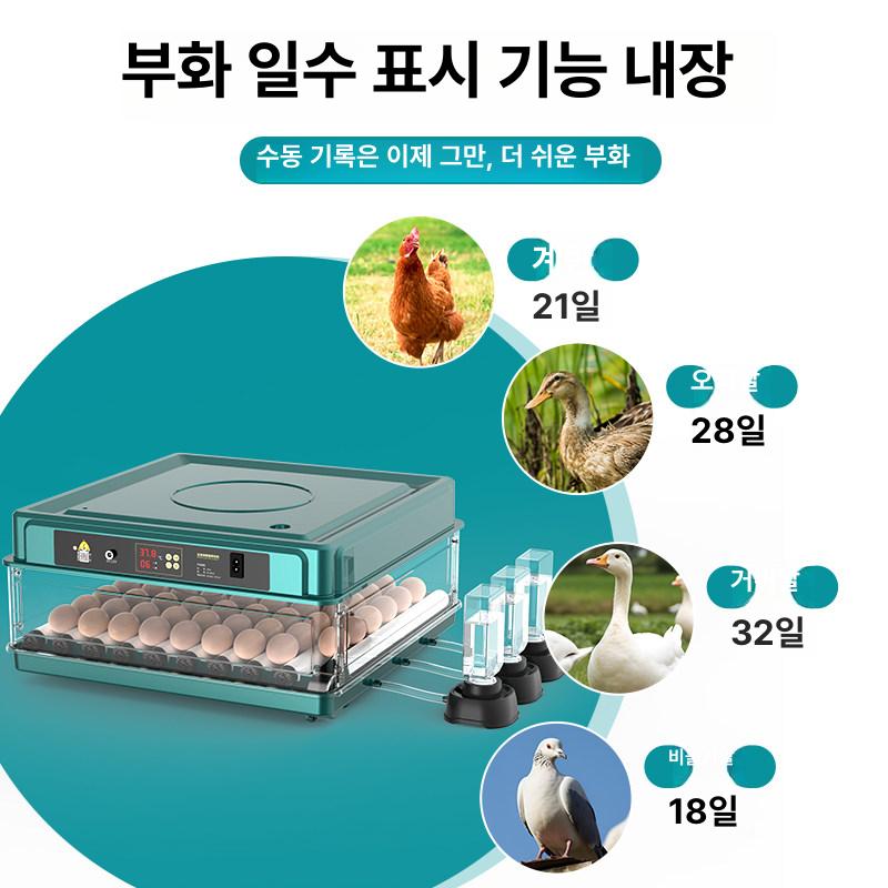 가정용 소형부화기 계란 병아리 자동 조류 오리 유정란 전기 농가 이중 양계장 - 상세 이미지 5