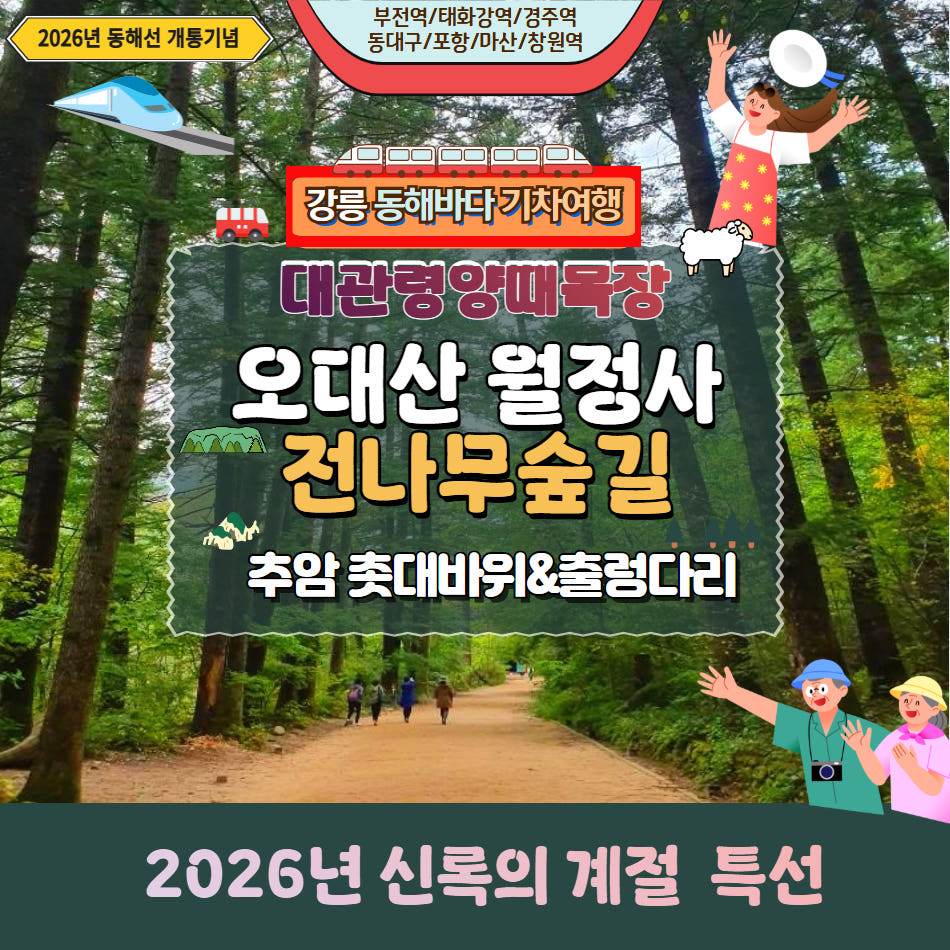 대관령 양떼목장 & 오대산 월정사 전나무숲길 가격 비교 울산출발국내여행 대관령 양떼목장 & 오대산 월정사 전나무숲길