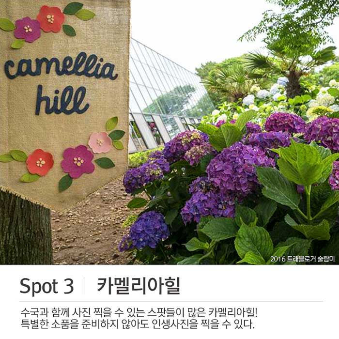 [여름특선 제주] 알뜰여행 3박4일-전국공항출발 이미지 6