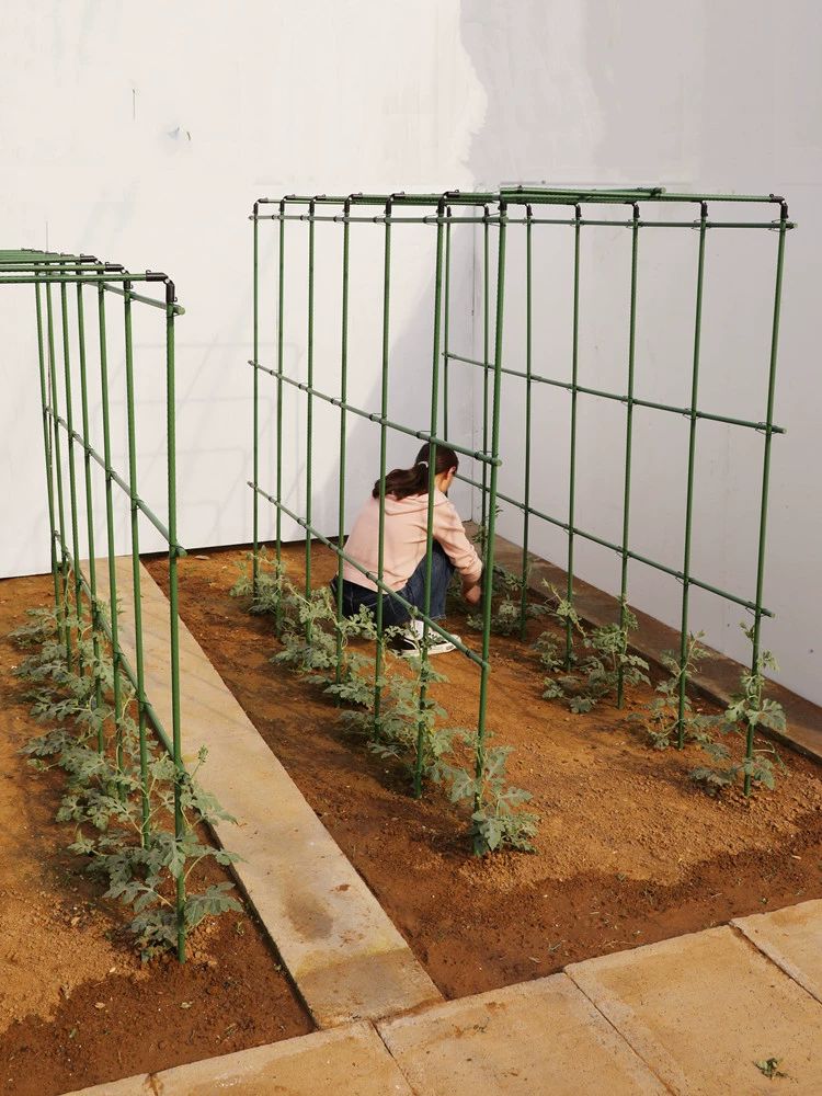 화분 화초지지대 식물 포도 덩굴 오이지지대 방울토마토지지대 텃밭지지대 넝쿨지지대 - 상세 이미지 3