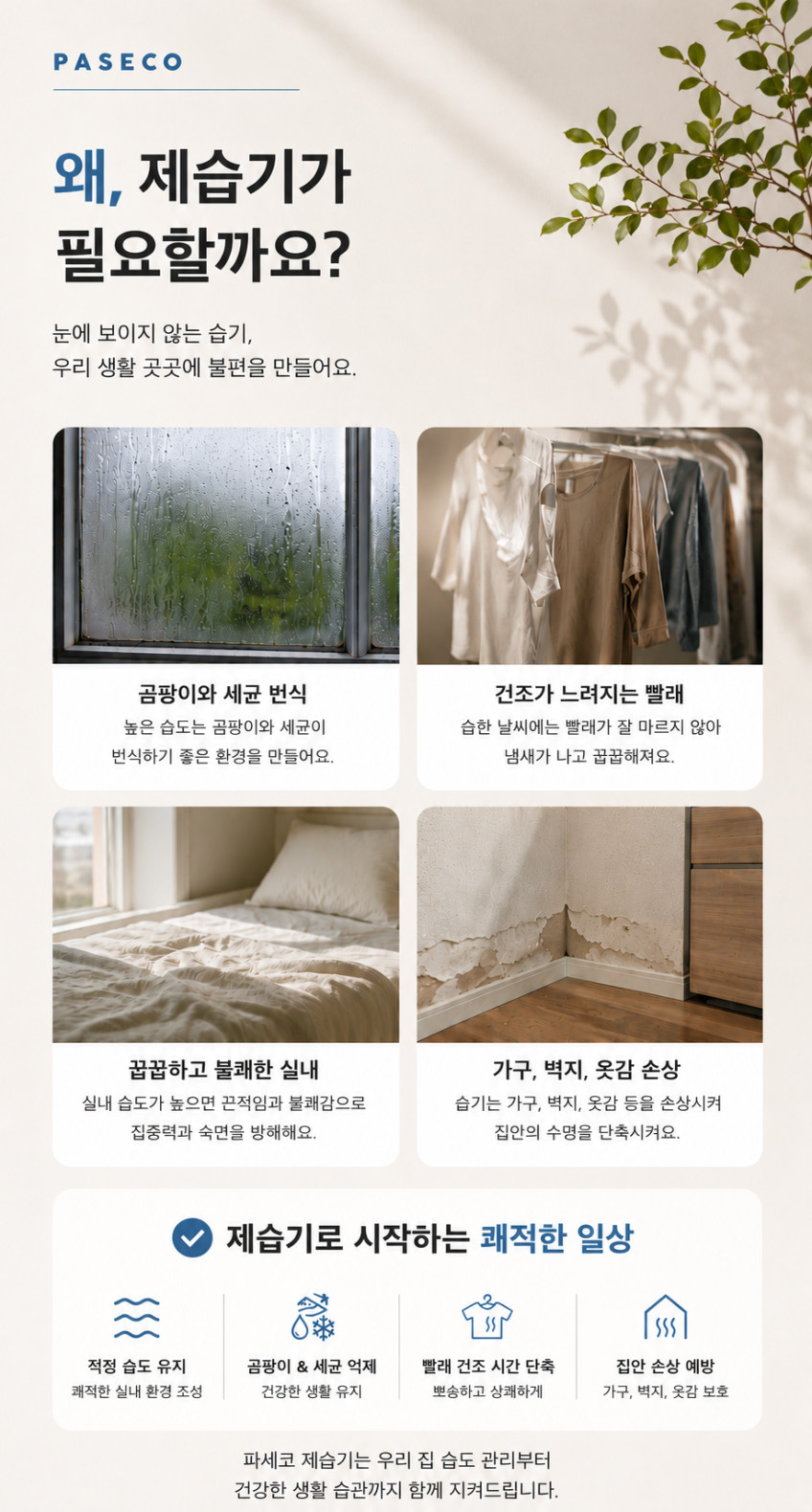 파세코 제습기 가정용 저소음 소형 원룸 욕실 화장실 습도 장마 12L, 표준용량 판매처 상세 정보 이미지 3