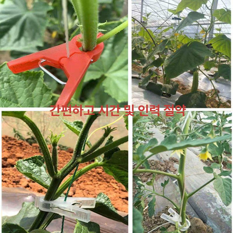 농업용 집게 작물 도구 재배 줄기 식물지지대 묘목 유인줄 결속기 채소 고정클립 - 상세 이미지 3
