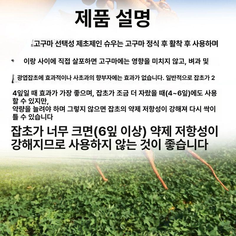 찬장 상부수납장 다층 진열장 도어 선반장 그릇 키친 정리 캐비닛 다용도 - 상세 이미지 4