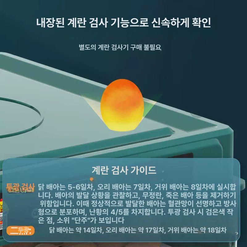 조류 자동부화기 달걀 오리 비둘기 거위 전원 계란 메추리알 병아리부화기 - 상세 이미지 5
