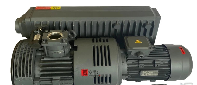 로터리 베진공 펌프 XD-020 XD-040 XD-063 XD-100 XD-160/202 기계 진공