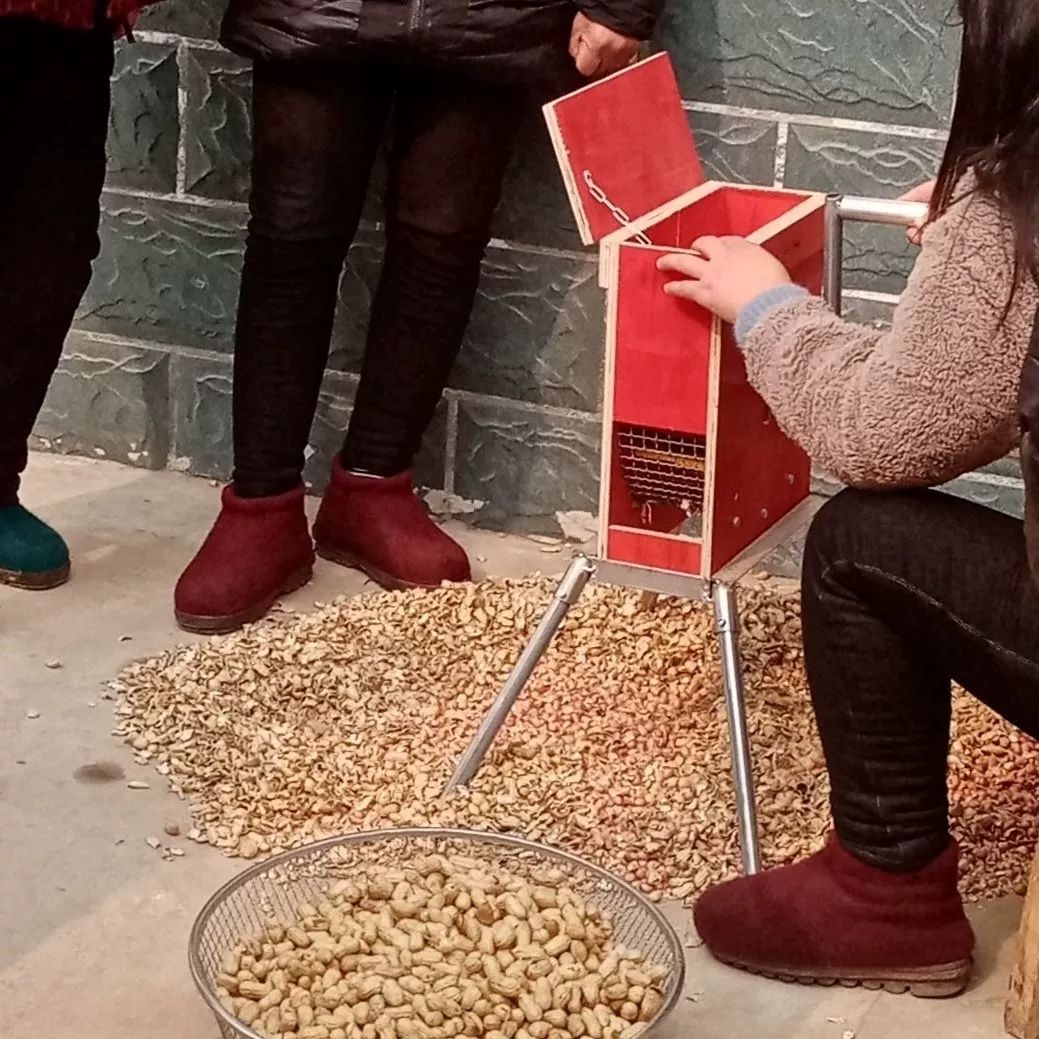 땅콩 껍질까는 기계 대량 껍질까는기계 탈피기 분리기 농업용 막대형 수확기 수동 박피기 - 상세 이미지 3