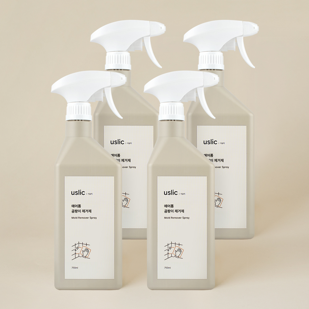 곰팡이제거제 실크벽지 곰팡이제거 실리콘 베란다 바닥 750ml, 4개 - 상품 이미지