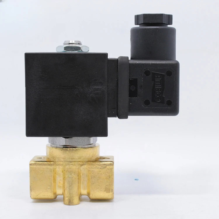 황동 와이어 버클 솔레노이드 밸브 2 개 21A3KV30 24V 110V DN6