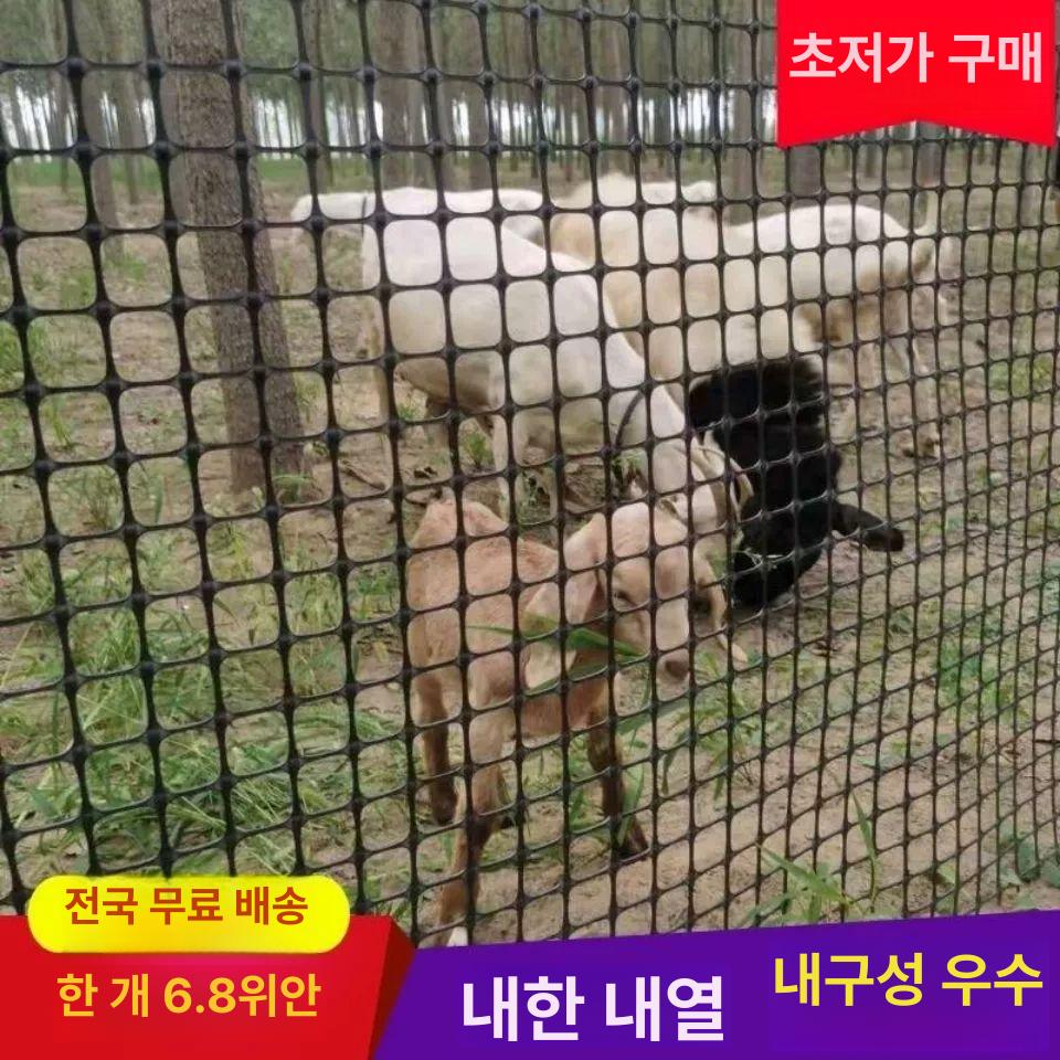 안전 플라스틱그물망 닭장망 휀스 경계망 펜스 텃밭망 보호망 양계장 뱀차단 양식망 - 상세 이미지 3