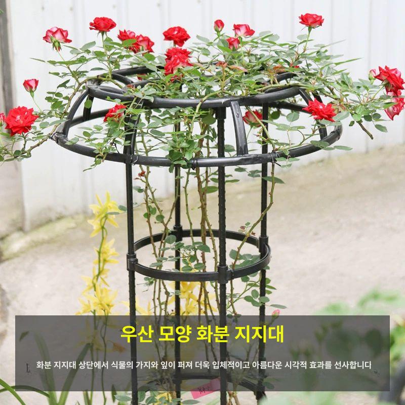 등나무 화분지지대 가드닝 인테리어 프레임 덩굴 지주대 넝쿨 타워형 원형 베란다 꽃 - 상세 이미지 2