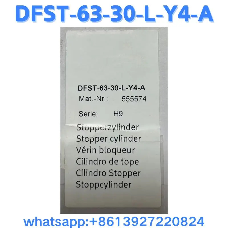 블록 실린더 DFST-63-30-L-Y4-A 555574 원본