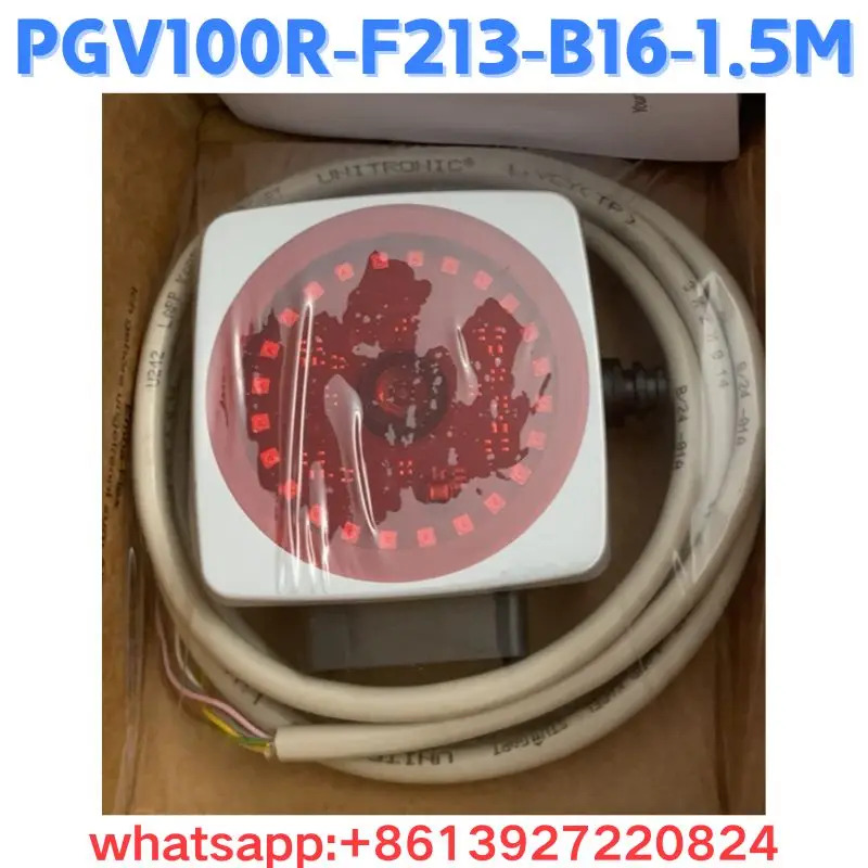 스캐너 PGV100R-F213-B16-1.5M 원본