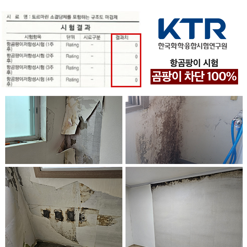[프리미엄]아쿠아한방 규조토페인트 10kg 18kg 곰팡이 결로방지 베란다 단열 친환경 화이트 - 상세 이미지 4